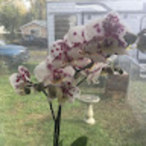 Meet your Posher, Heidi